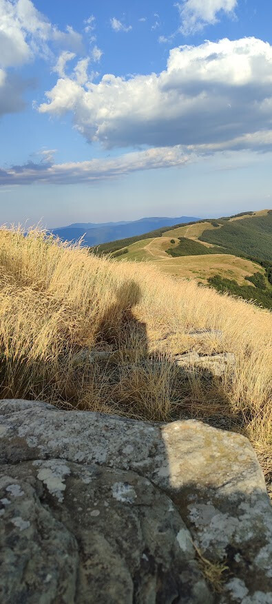 Summer grassland and mountain ridges